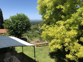 TOSCANA TOUR - Haus Malerin mit Meerblick eingezäuntem Garten Guardistallo
